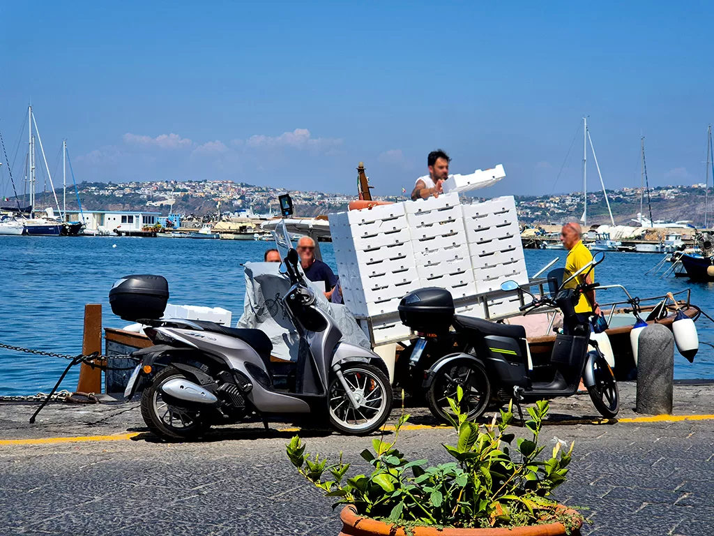 fishermen in procida harbor loading crates of fish onto a trailer