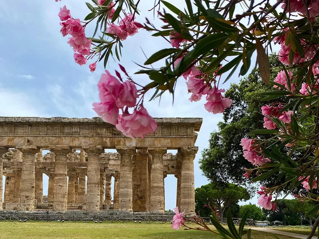 paestum temple