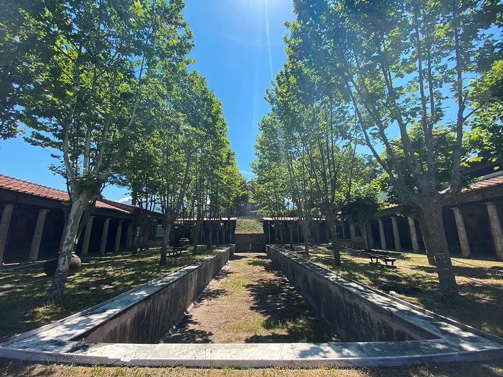 villa san marco trees and ancient ruins