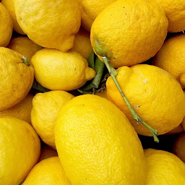 lemons close up