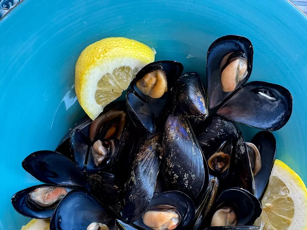mussels on blue plate in procida