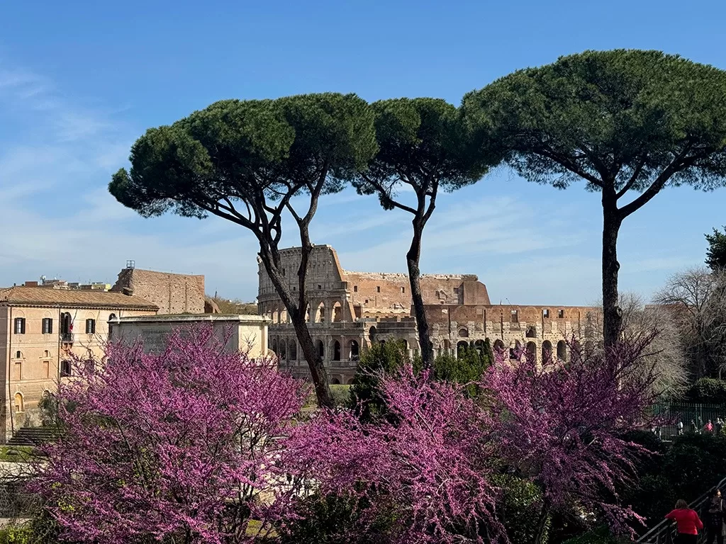 view of colosseum with purple flowers in foreground