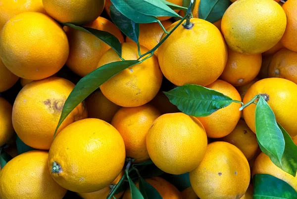 pile of lemons with leaves attached
