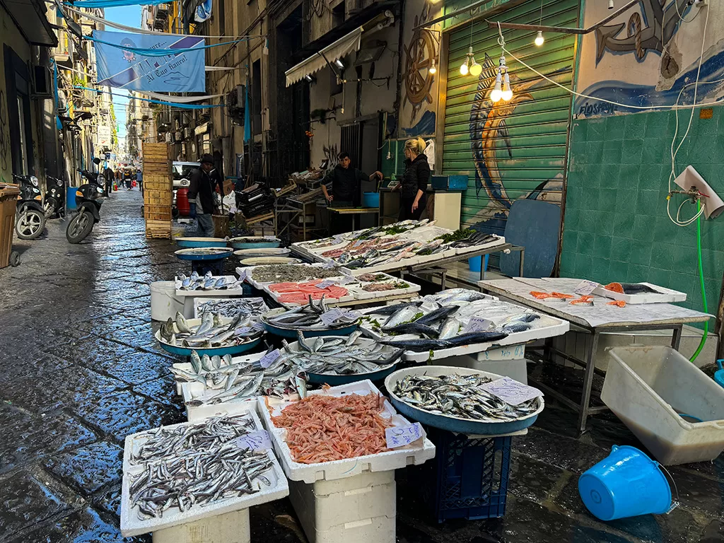 fish for sale in naples