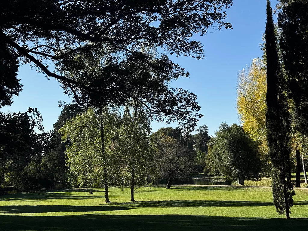 english garden lawns caserta