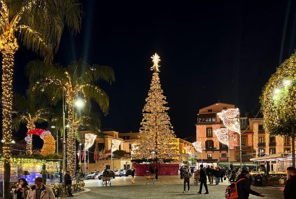 christmas tree in piazza tasso sorrento