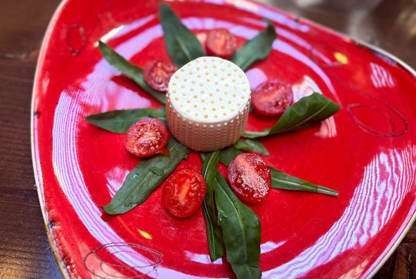 places to eat in sorrento inn bufalito cheese plate