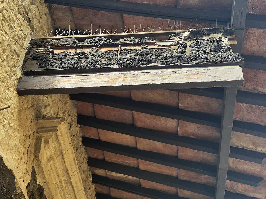 Herculaneum carbonised wooded beam