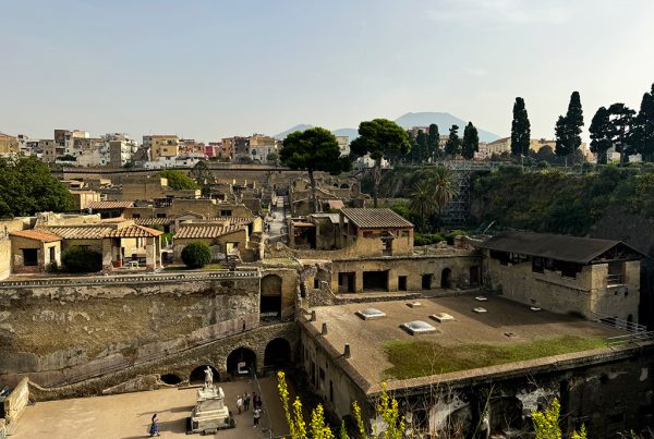 herculaneum tickets view of site with vesuvius in distance
