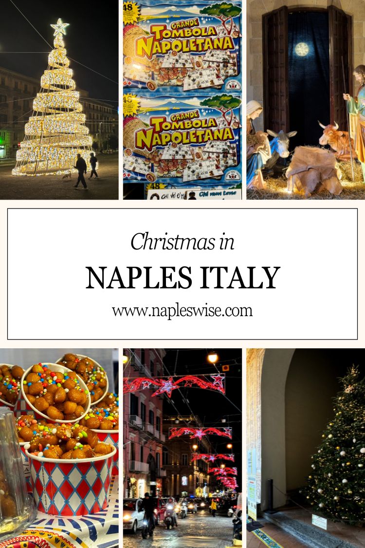 christmas in naples pin