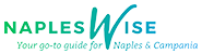 Napleswise