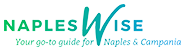 Napleswise